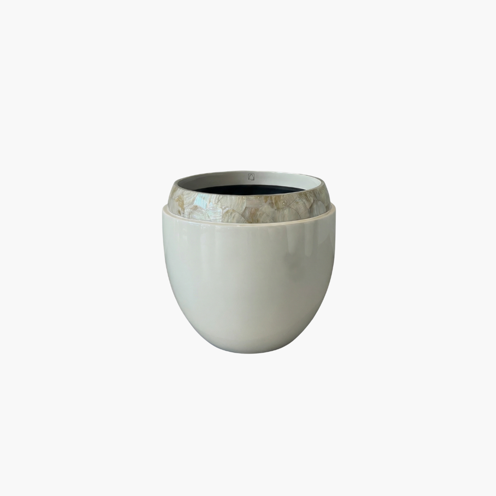 MOP Edge Pearl 50
