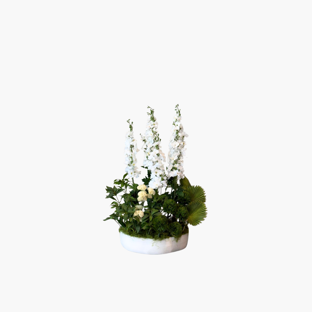 Delphinium 70