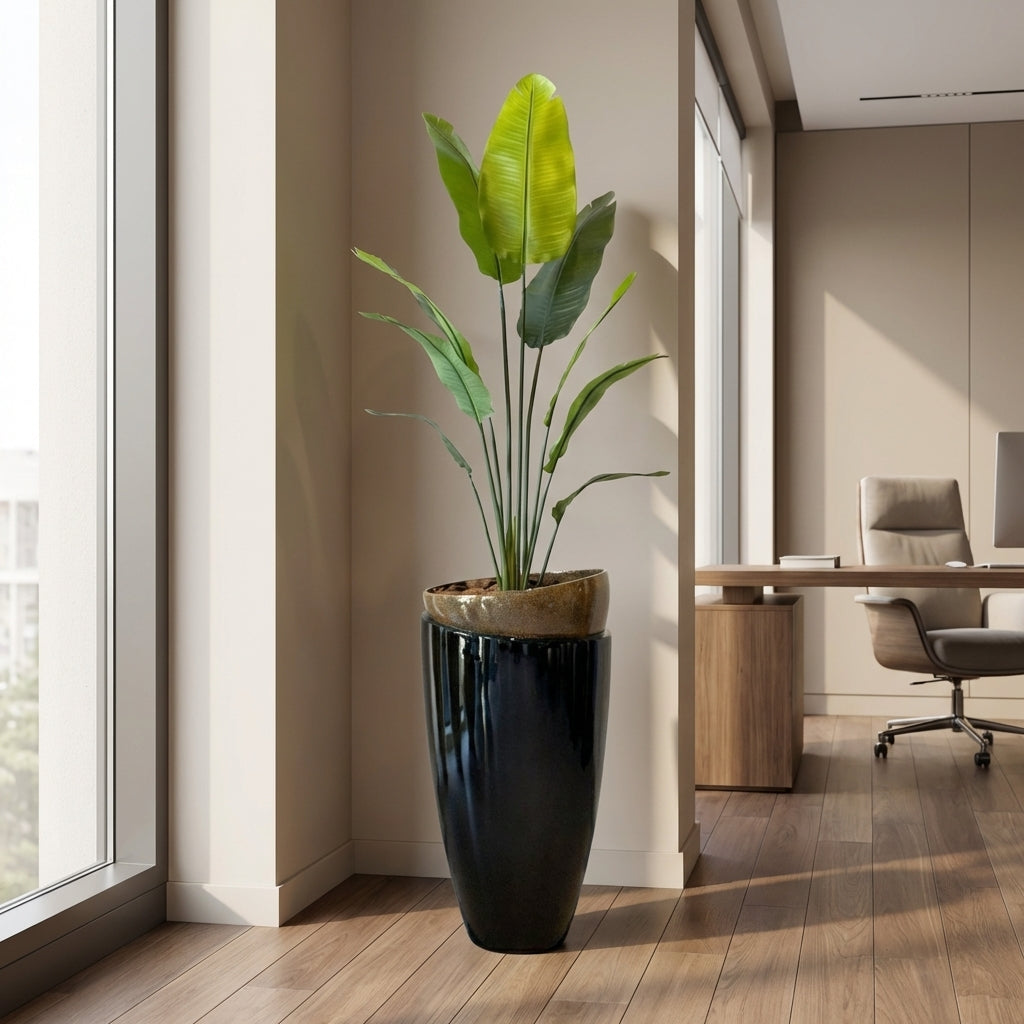 Eggshell Edge Black 90