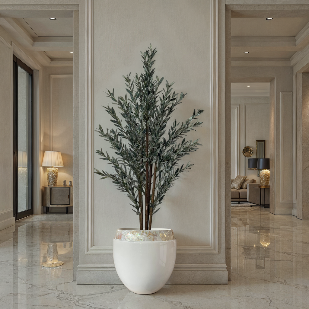 Olive Tree 180