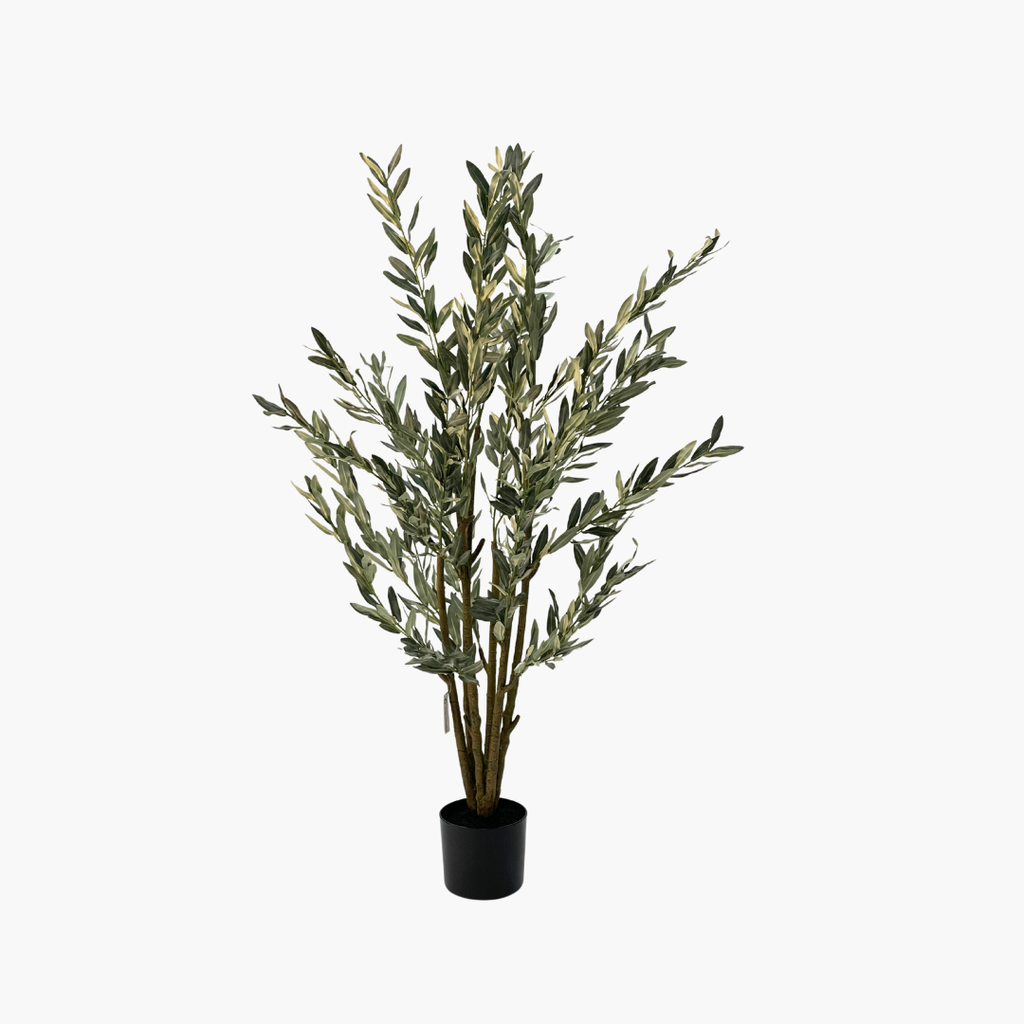 Olive Tree 140