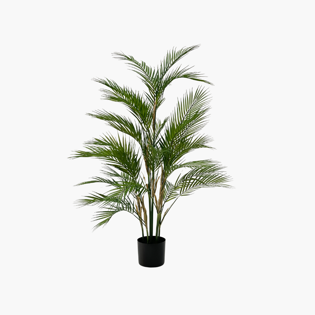 Palm Tree 120 M