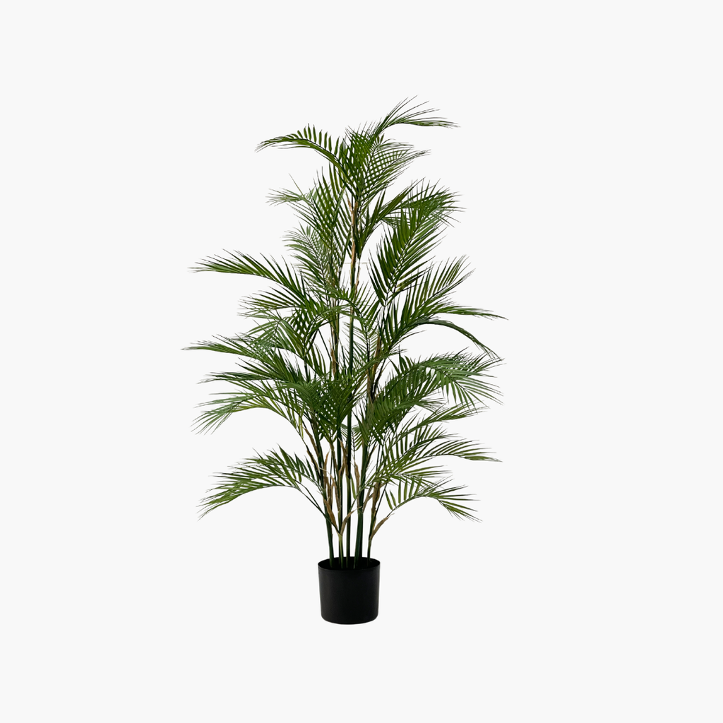 Palm Tree 150 M