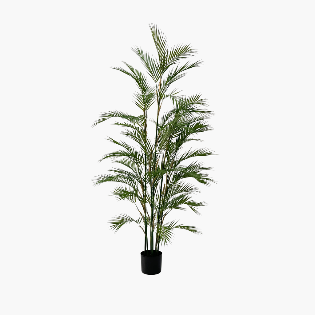 Palm Tree 180 M