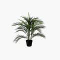 UV Palm Tree 92